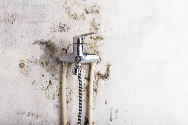 Best Mold Testing  in La Cresta, CA