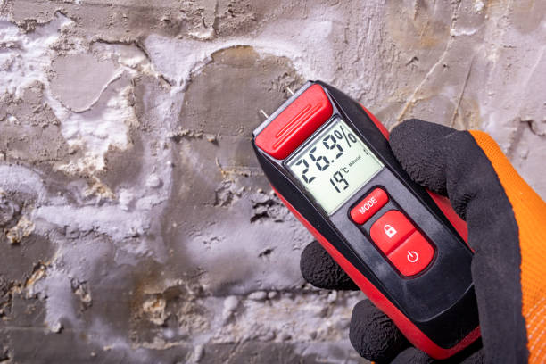 Professional Mold Removal in La Cresta, CA
