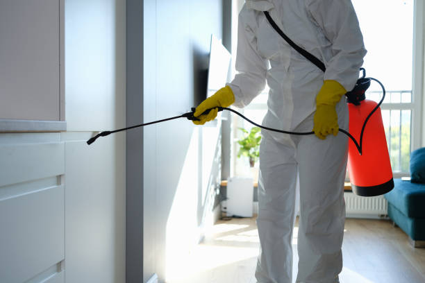 Best Mold Cleaning Services  in La Cresta, CA
